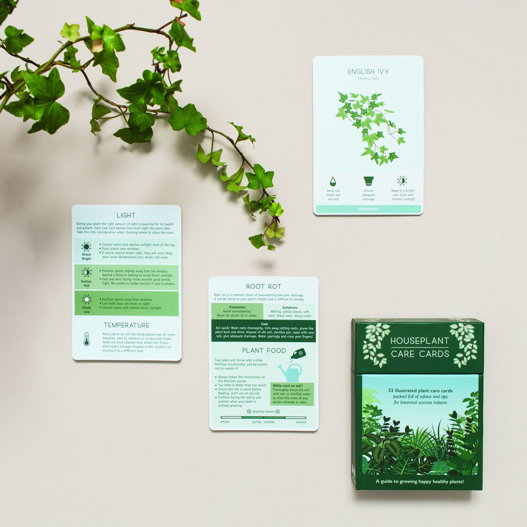 House Plant Care Cards - ad&i