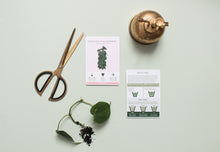 Load image into Gallery viewer, House Plant Care Cards - ad&amp;i