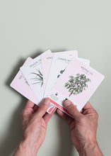 Load image into Gallery viewer, House Plant Care Cards - ad&amp;i