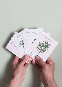 House Plant Care Cards - ad&i