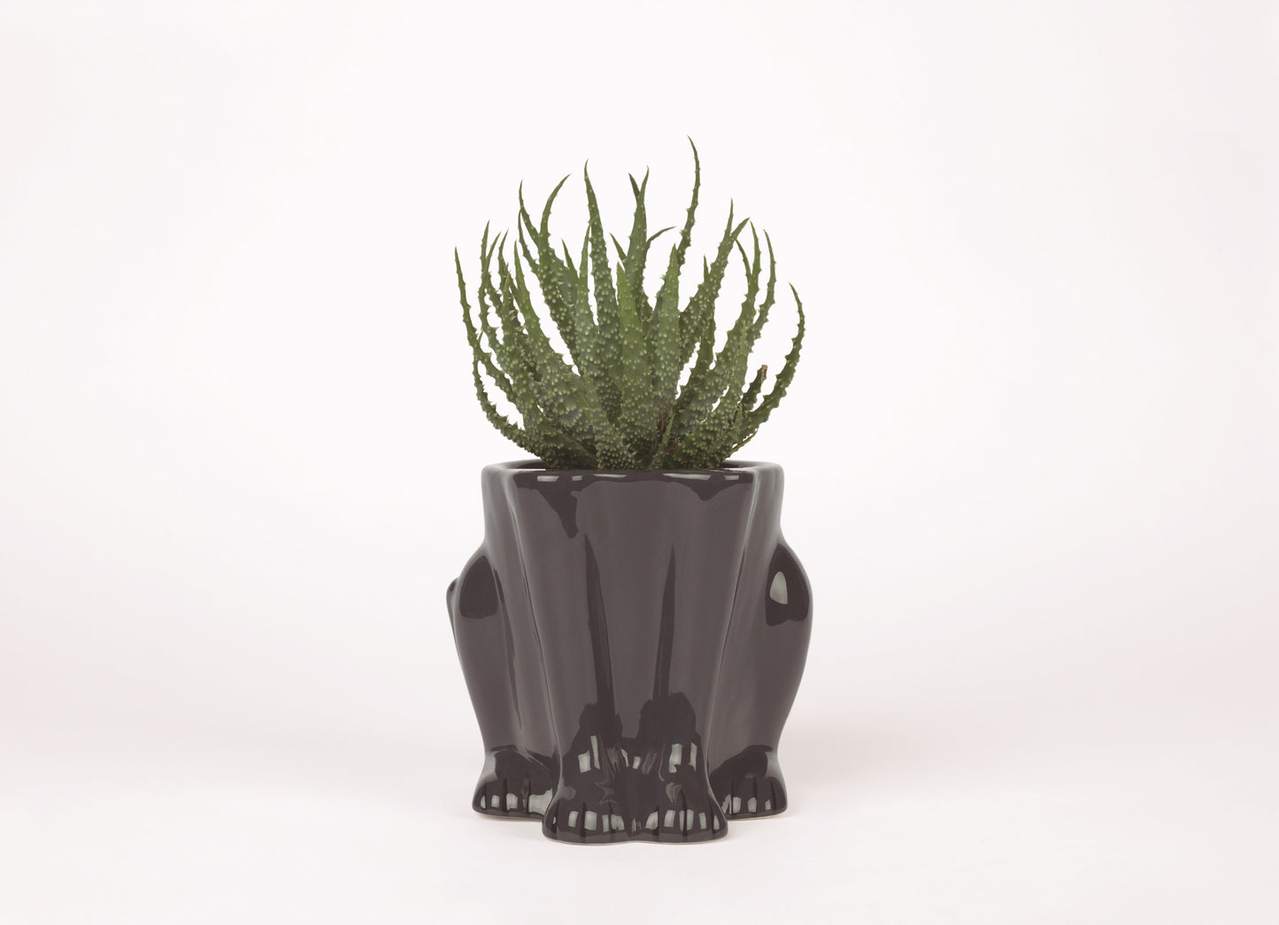 Panther Ceramic Plant Pot-ad&i