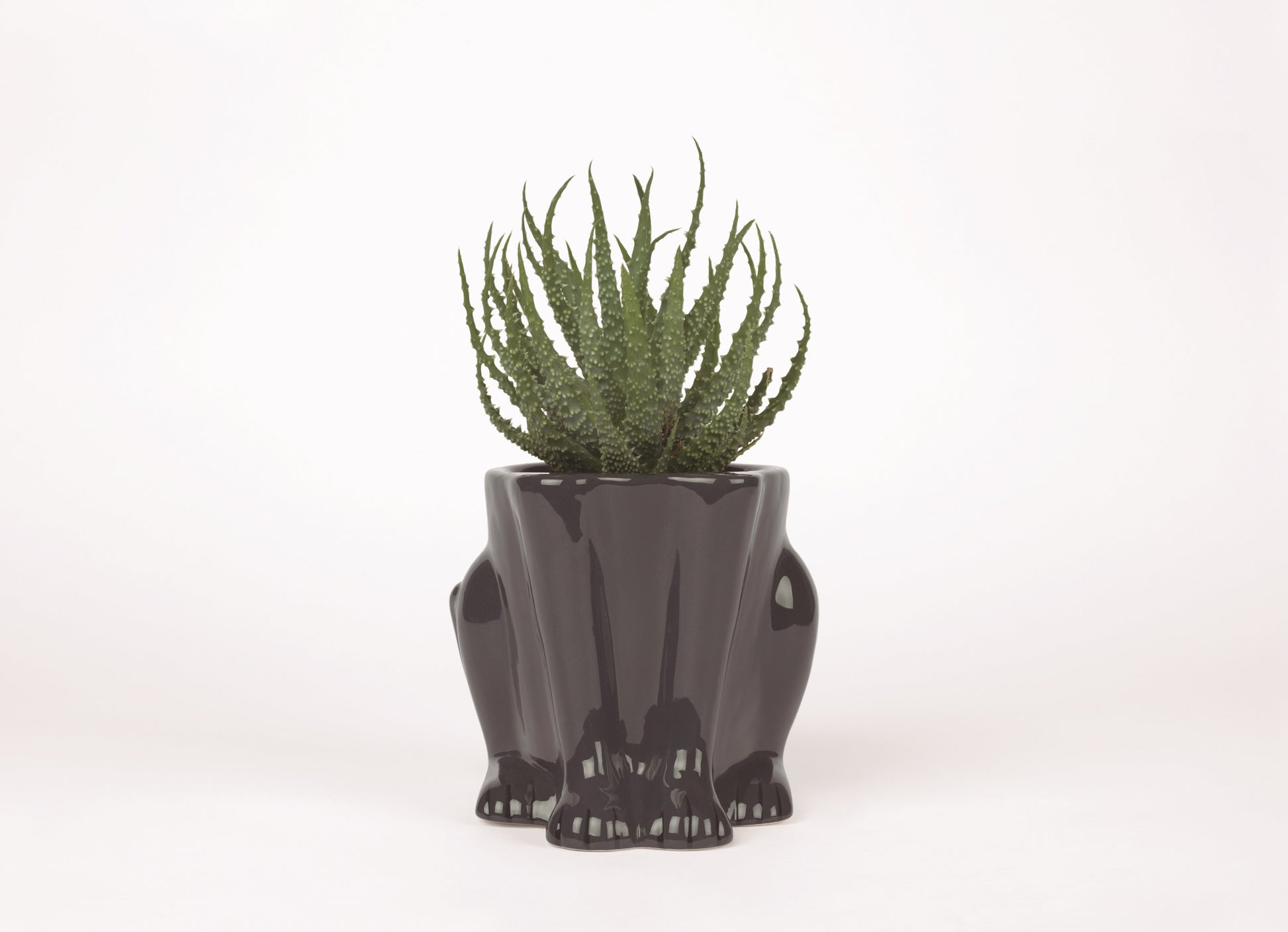 Panther Ceramic Plant Pot-ad&i