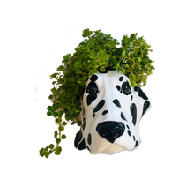 Load image into Gallery viewer, Ceramic Dalmatian Head Wall Sconce Vase - ad&amp;i
