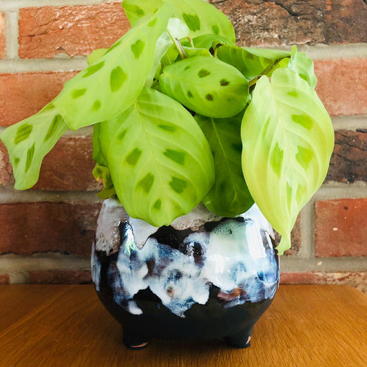 Deco Glazed Terracotta Planter on Legs - ad&i