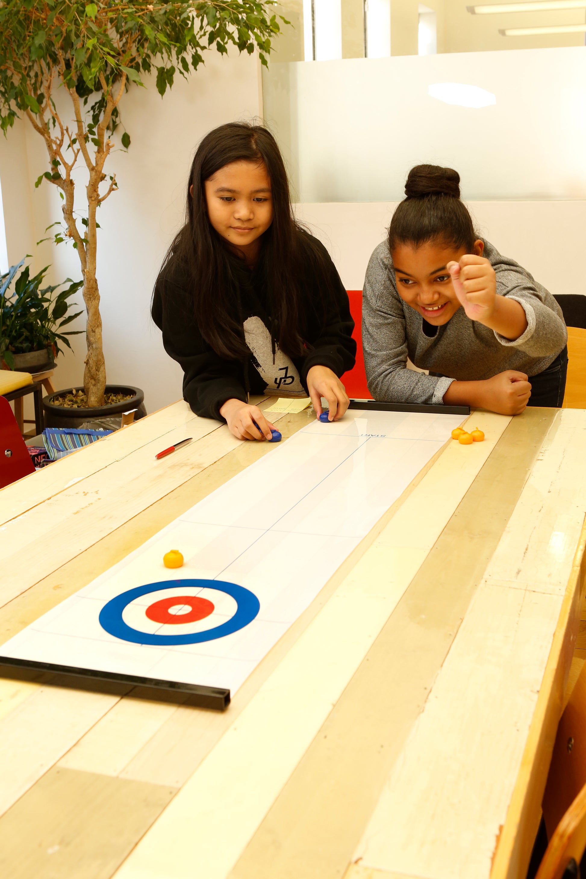 Table Top Curling Game - ad&i