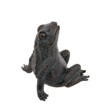 Load image into Gallery viewer, Star Gazing Frog Ornament - ad&amp;i