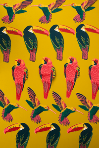 Toucan Greetings Card-ad&i