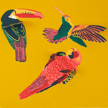 Load image into Gallery viewer, Toucan Greetings Card-ad&amp;i