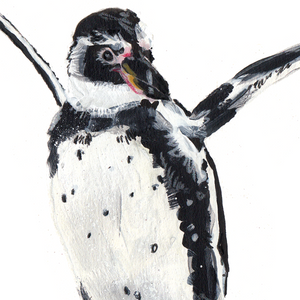 Humboldt Penguin A4 Digital Print by Abby Cook - ad&i