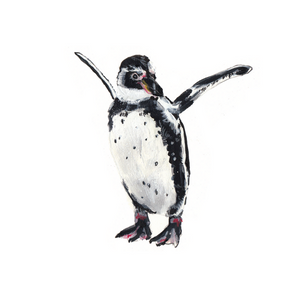 Humboldt Penguin A4 Digital Print by Abby Cook - ad&i