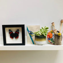 Load image into Gallery viewer, Embroidered and Painted Red Admiral Butterfly Framed Wall Art - ad&amp;i