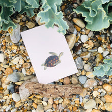 Load image into Gallery viewer, Come Together Turtle A6 Postcard - ad&amp;i