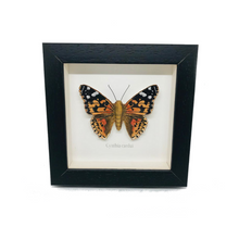 Load image into Gallery viewer, Embroidered Painted Lady Butterfly Framed Wall Art - ad&amp;i
