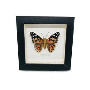Embroidered Painted Lady Butterfly Framed Wall Art - ad&i
