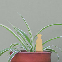 Load image into Gallery viewer, Plant Animal Meerkat - ad&amp;i