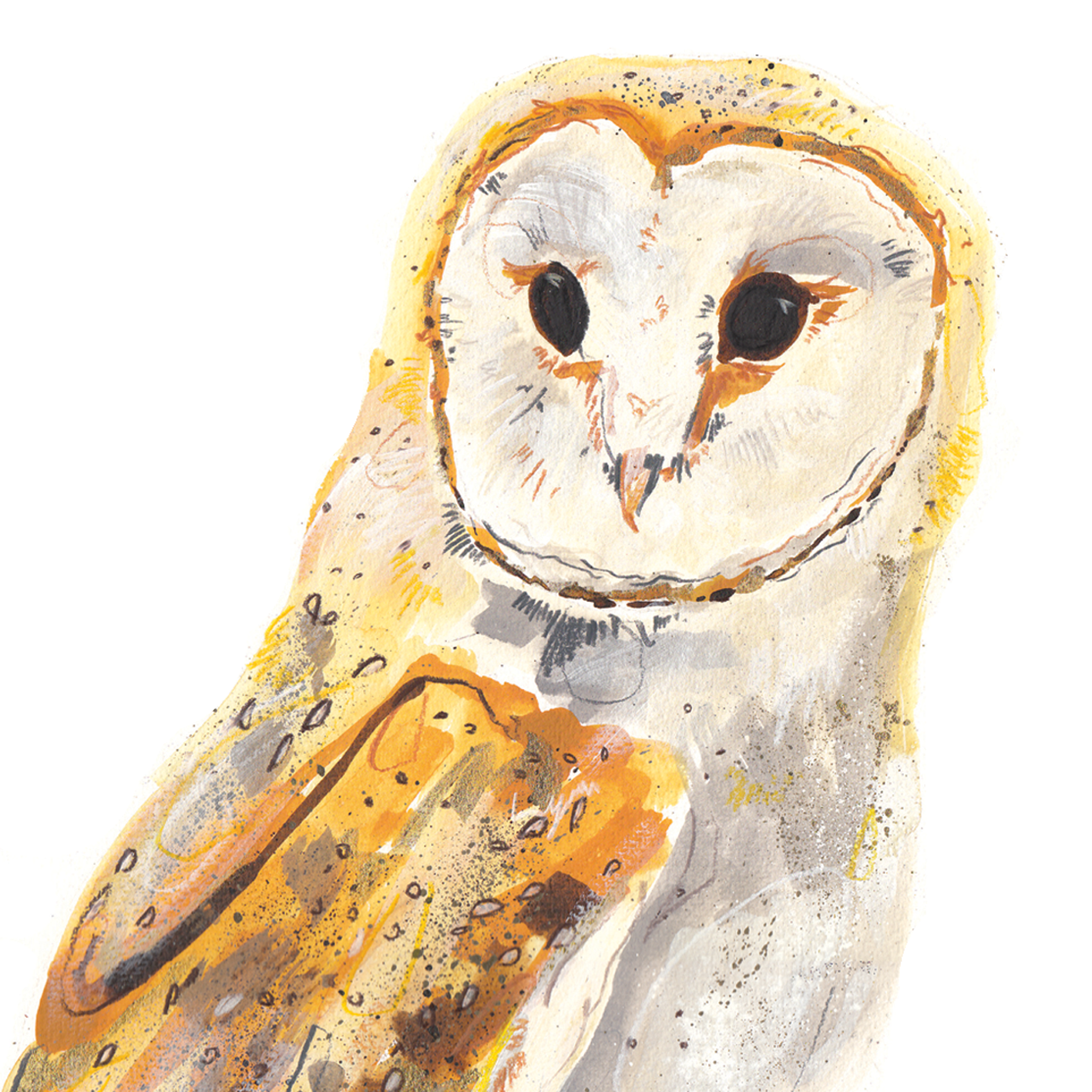 Barn Owl A4 Digital Print by Abby Cook - ad&i