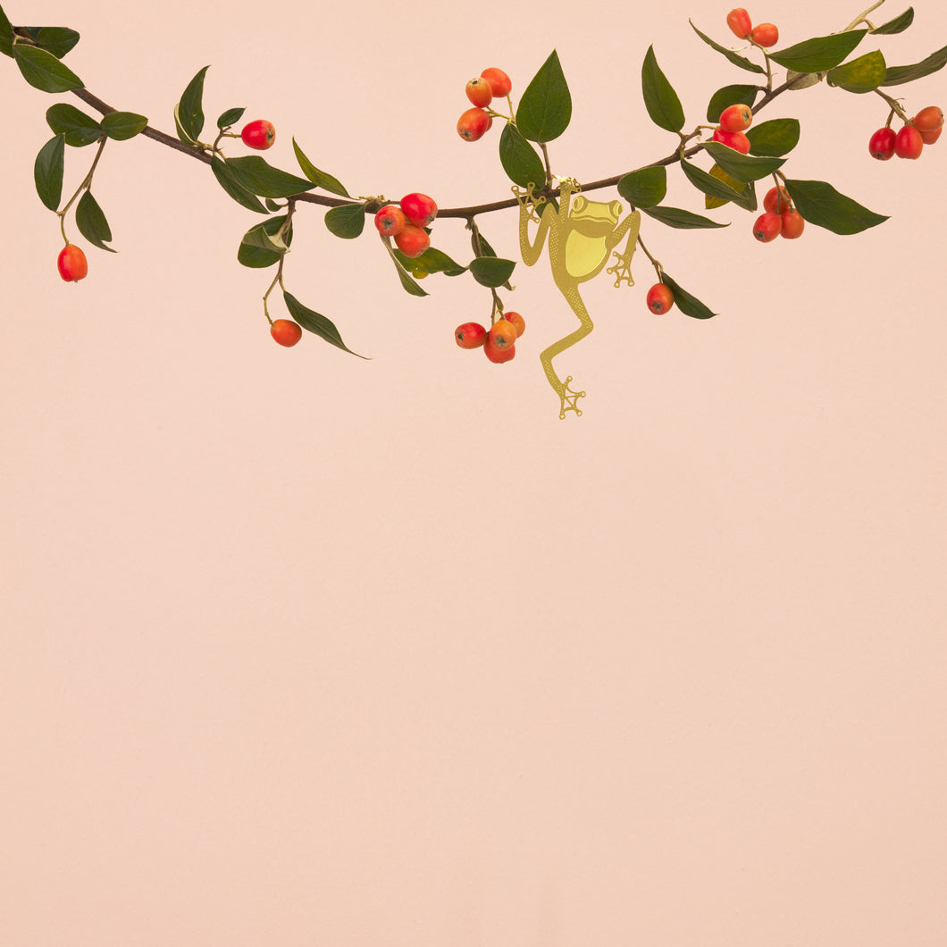 Plant Animal Tree Frog-ad&i
