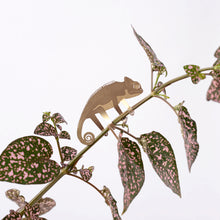 Load image into Gallery viewer, Plant Animal Chameleon - ad&amp;i