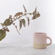 Load image into Gallery viewer, Plant Animal Chameleon - ad&amp;i