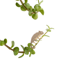 Load image into Gallery viewer, Plant Animal Chameleon - ad&amp;i