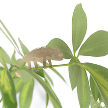 Load image into Gallery viewer, Plant Animal Chameleon - ad&amp;i