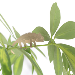 Plant Animal Chameleon - ad&i