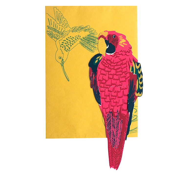 Parrot Greetings Card-ad&i