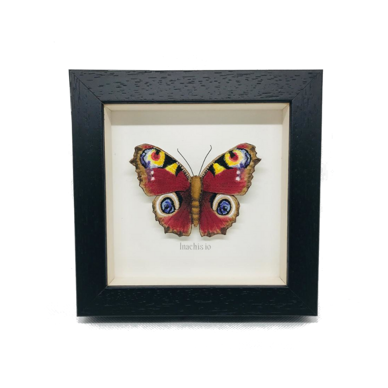 Embroidered and Painted Peacock Butterfly Framed Wall Art - ad&i