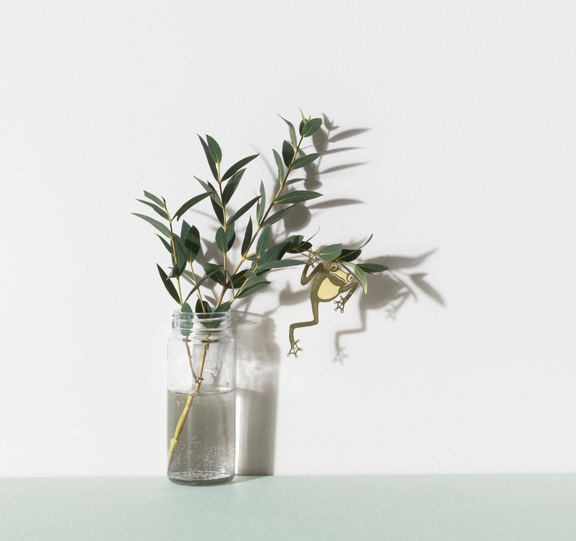 Plant Animal Tree Frog-ad&i