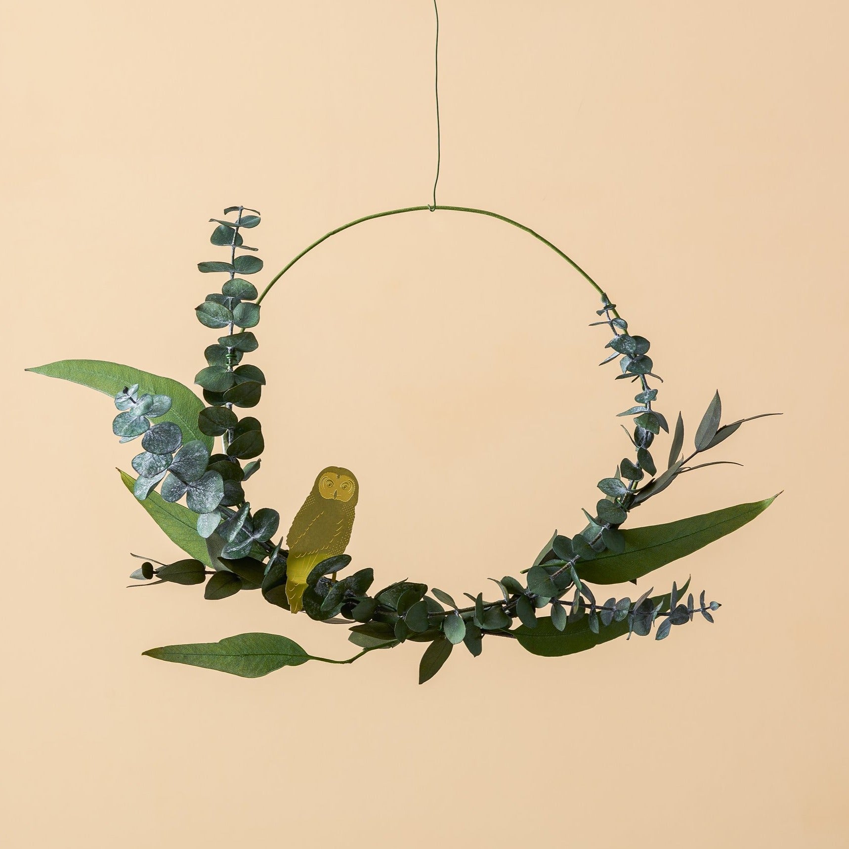 Plant Animal Owl-ad&i