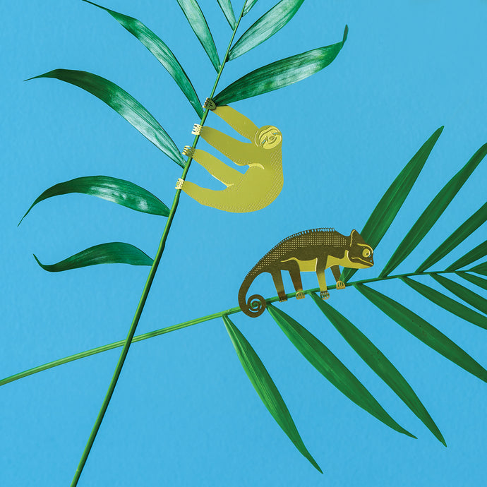 Plant Animal Chameleon-ad&i