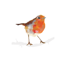 Load image into Gallery viewer, Robin A4 Digital Print by Abby Cook - ad&amp;i