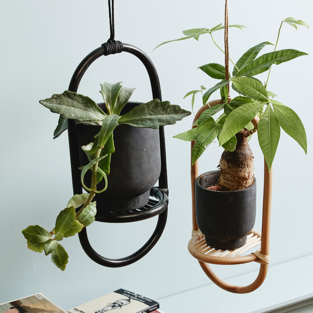 indoor plant hangers uk Rattan Planter Hanger | Home Decor | Indoor Plant Pot | Nordal