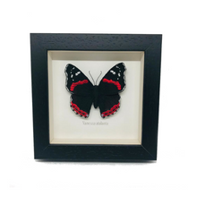 Load image into Gallery viewer, Embroidered and Painted Red Admiral Butterfly Framed Wall Art - ad&amp;i