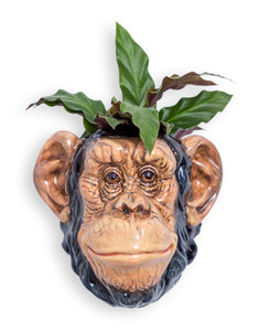 Ceramic Chimpanzee Head Wall Sconce Vase-ad&i