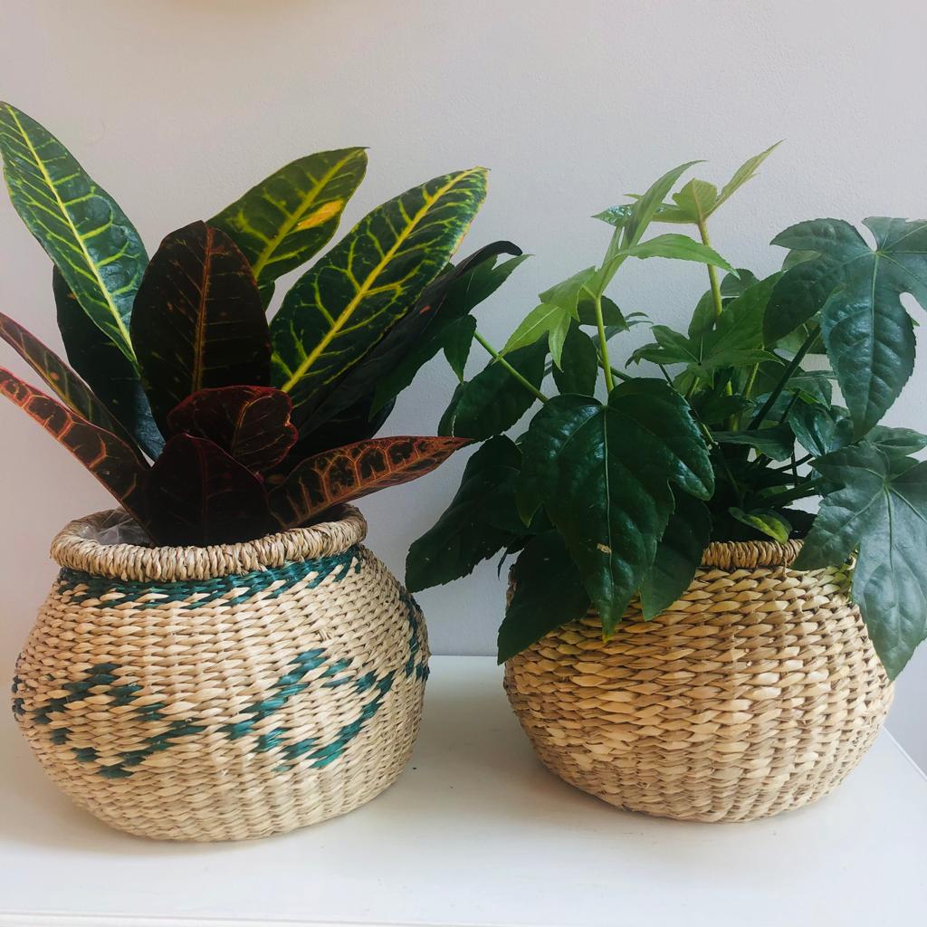 Seagrass Patterned Basket-ad&i