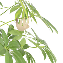 Load image into Gallery viewer, Plant Animal Sloth - ad&amp;i