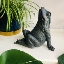 Load image into Gallery viewer, Star Gazing Frog Ornament - ad&amp;i