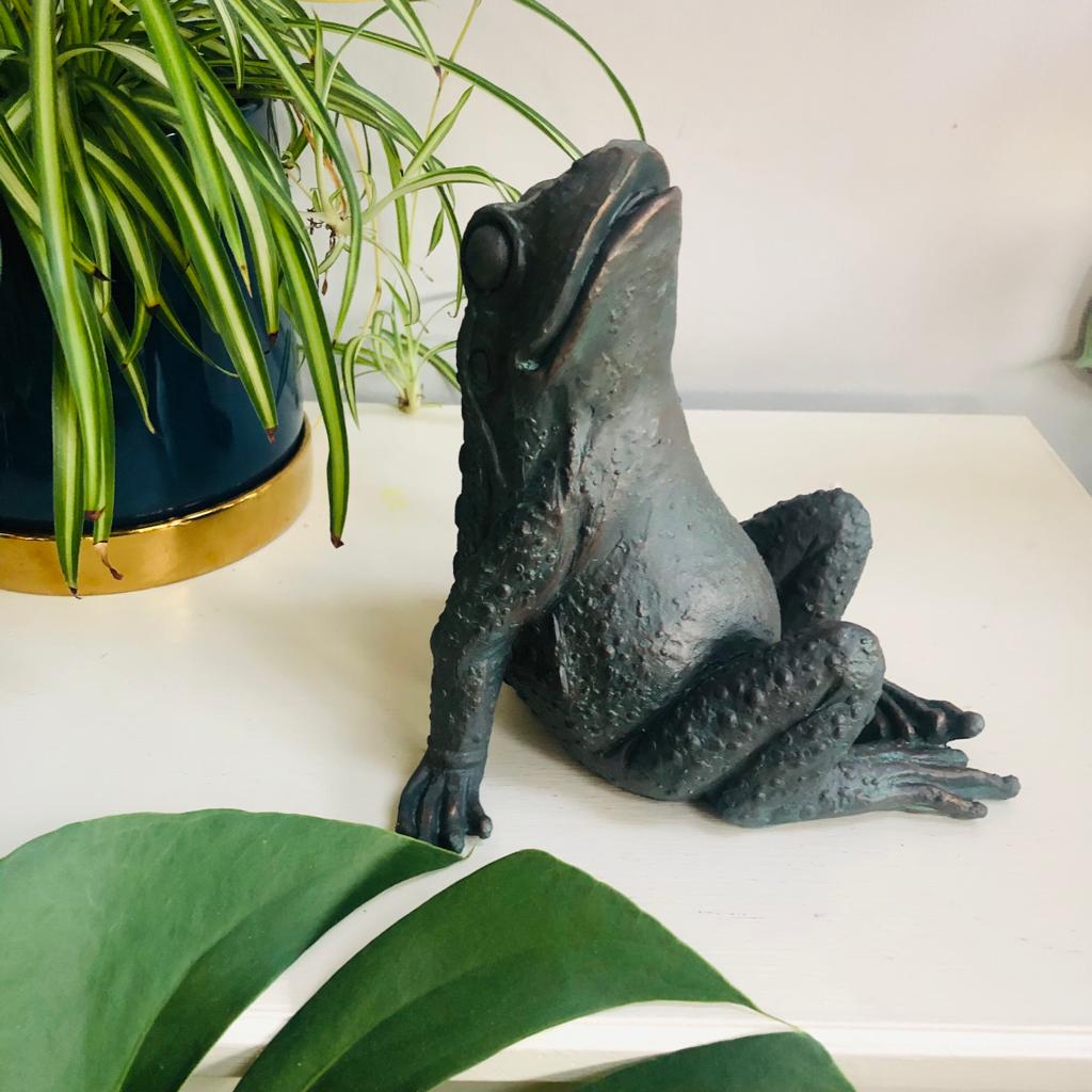 Star Gazing Frog Ornament - ad&i