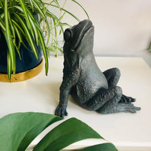 Load image into Gallery viewer, Star Gazing Frog Ornament - ad&amp;i