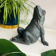 Load image into Gallery viewer, Star Gazing Frog Ornament - ad&amp;i