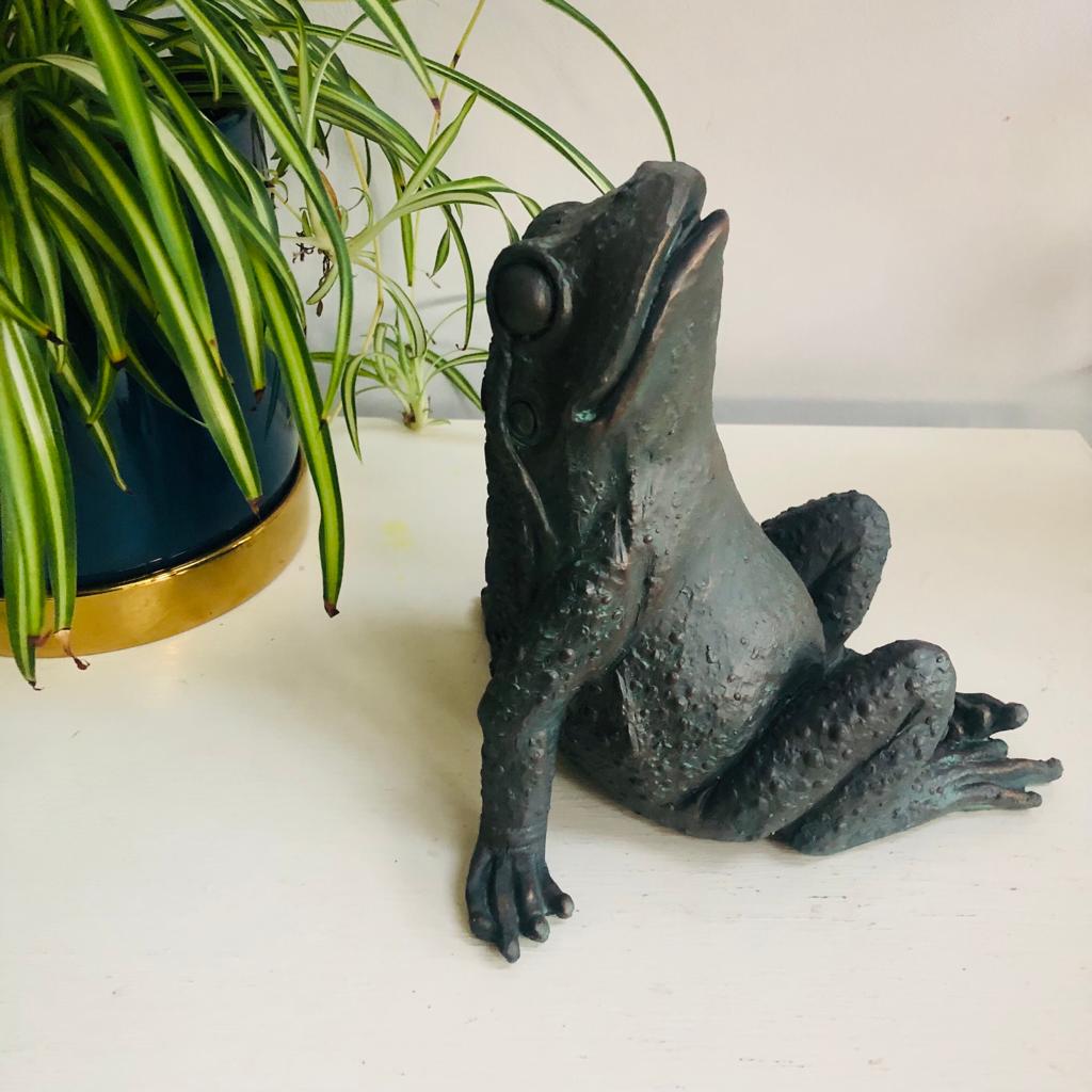 Star Gazing Frog Ornament - ad&i
