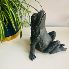 Load image into Gallery viewer, Star Gazing Frog Ornament - ad&amp;i