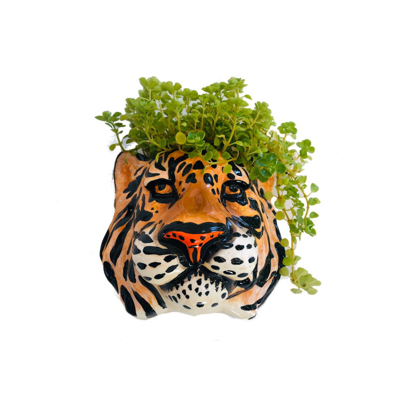 Ceramic Tiger Head Wall Sconce Vase - ad&i