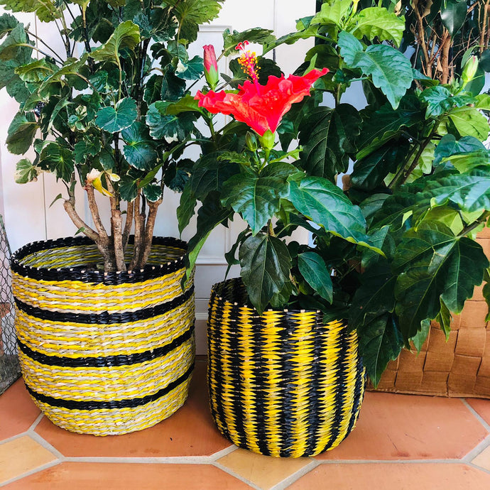 Large Coloured Seagrass Planters Set of Two-ad&i