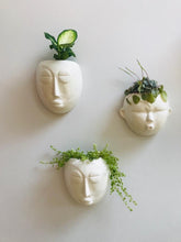 Load image into Gallery viewer, Mask Wall Planter-ad&amp;i