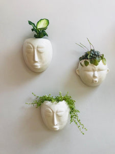 Mask Wall Planter-ad&i