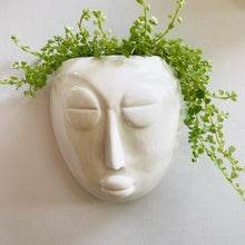 Load image into Gallery viewer, Mask Wall Planter-ad&amp;i
