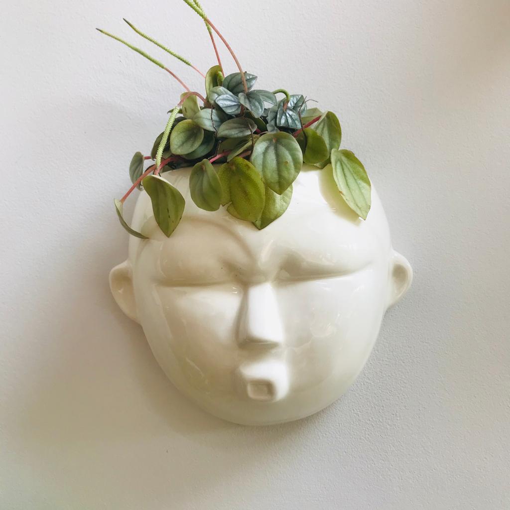 Round Mask Wall Planter-ad&i