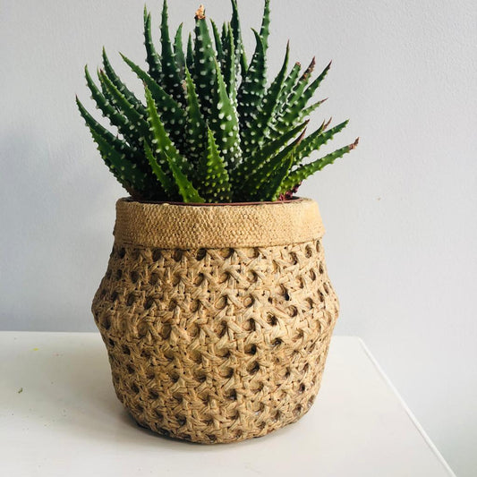 Cement Basket Effect Planter-ad&i